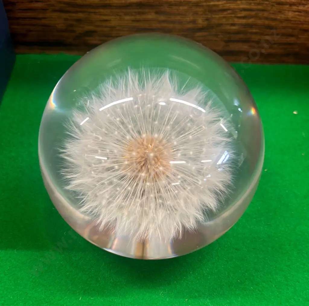 Hafod Grange Dandelion Resin Paperweight Image 1++