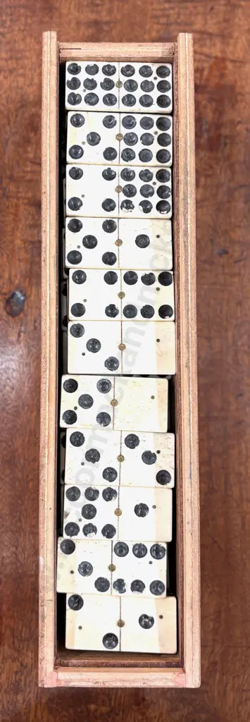 Ebony and Ivory Dominoes in Wooden Box Image 1++