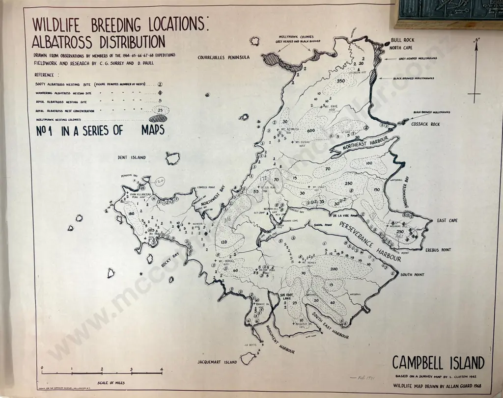 Campbell Island Maps and Stamp Image 1++