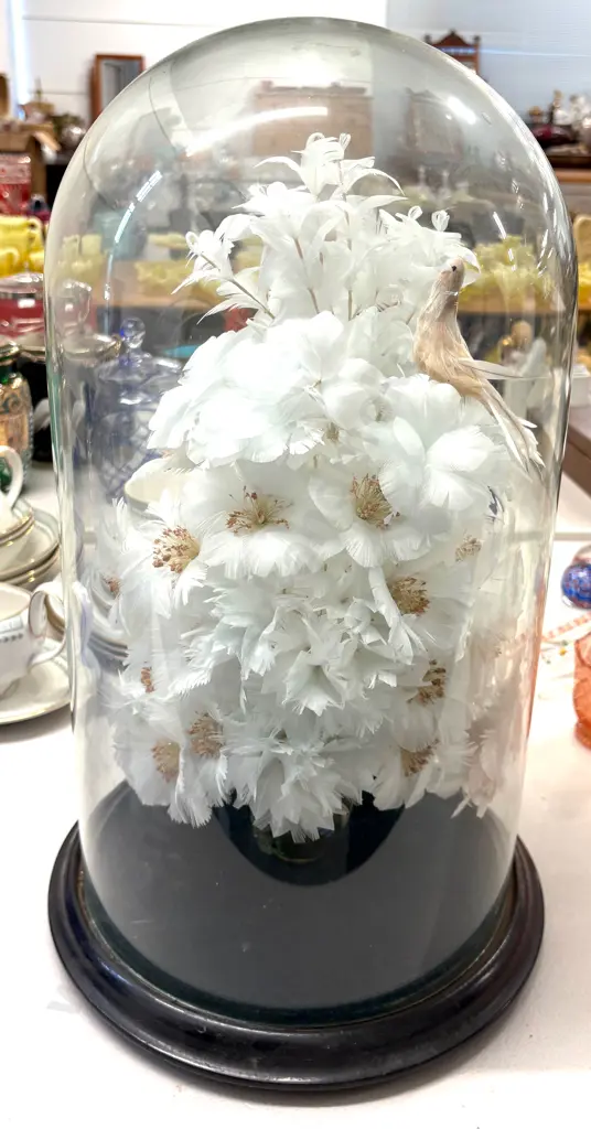 Large Glass Dome on Wooden Base with Feathered Flowers, H45cm Image 1++