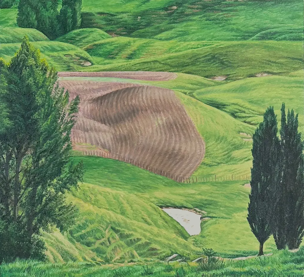 Dick Frizzell - Ploughed Paddock and Pond, oil on linen, 709x769mm Image 1++