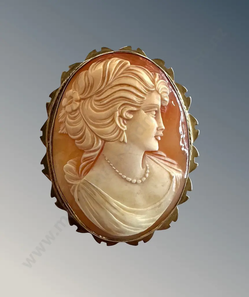 9ct Gold Cameo Brooch, TW21gms Image 1++