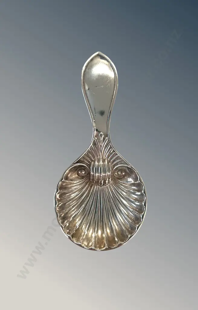 Sterling Silver Shell Caddy Spoon, TW11gms Image 1++