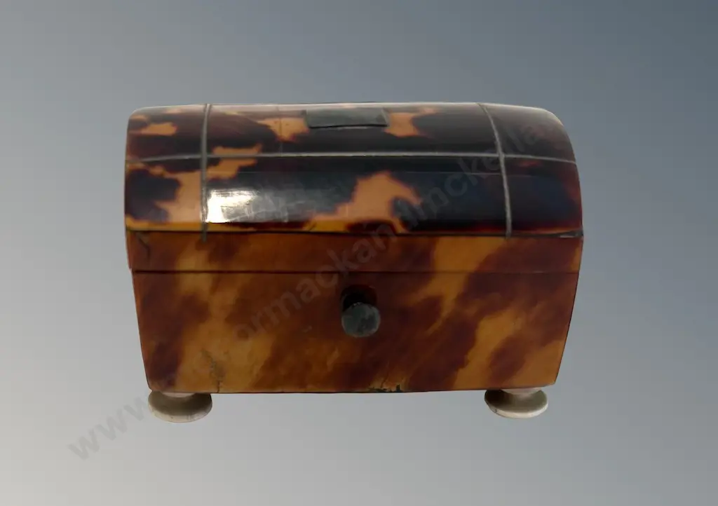 Miniature Tortoiseshell Dome lidded Box, H3.2cm Image 1++
