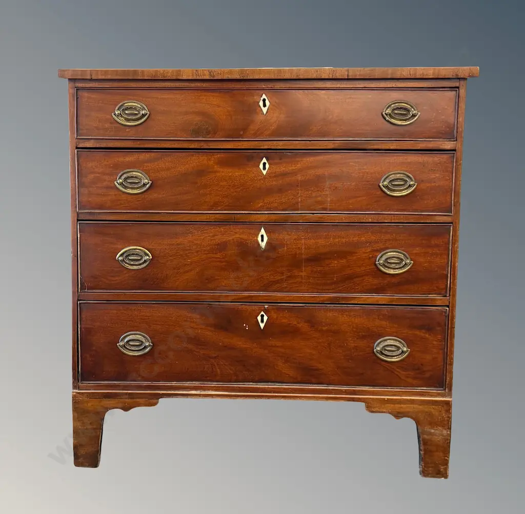 Mahogany Four Drawer Bachelor's Chest with Brass Pulls Ivory Escutcheons L83xD41xH85cm Image 1++