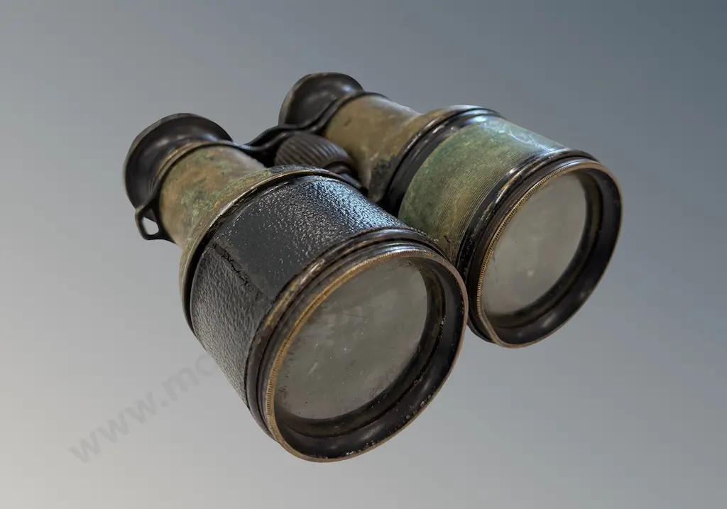 Opera Glasses c.1850-1900, Functional Image 1++