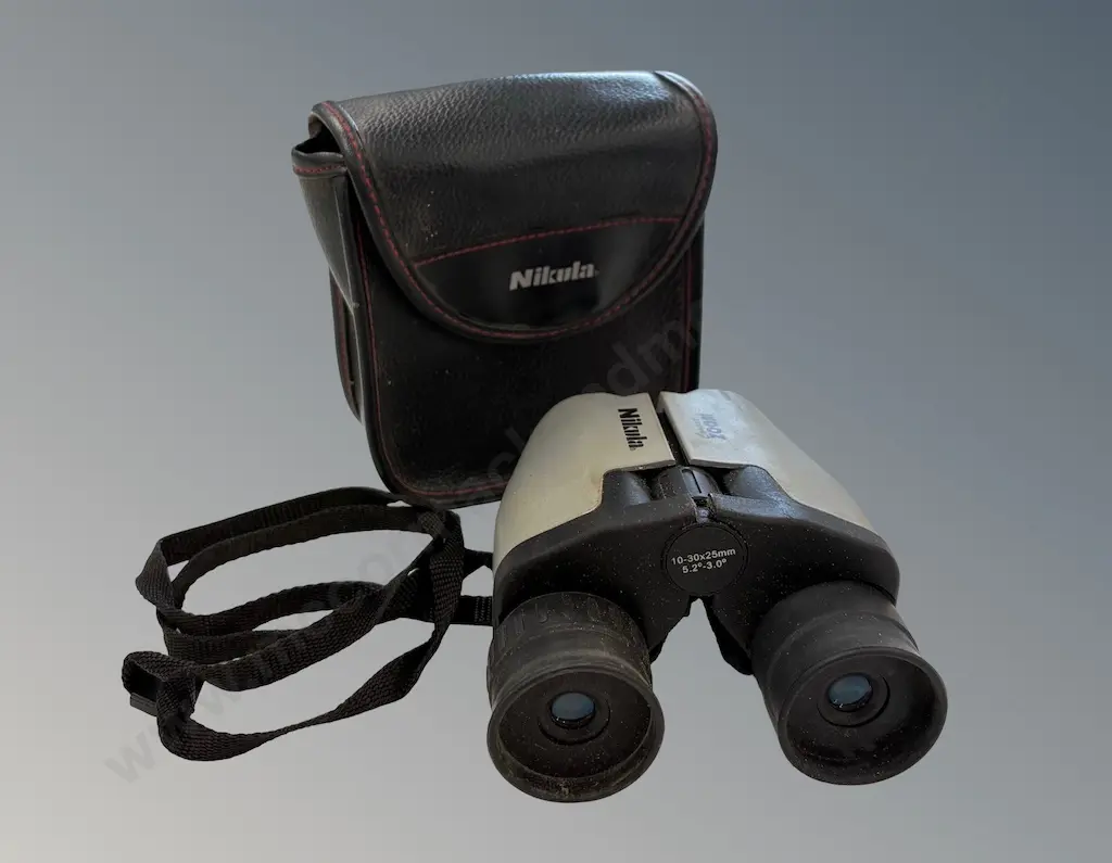 Nilkula Binoculars, Zoom 10-30 x25 with case, AF - need collimating Image 1++
