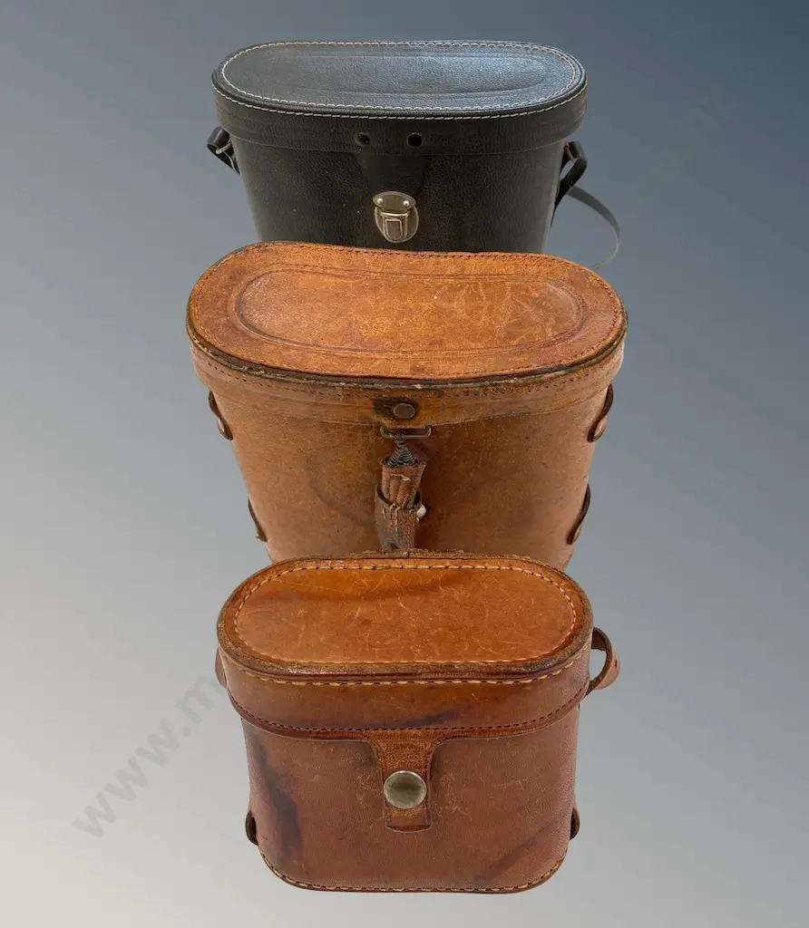 Three Binocular Cases Image 1++