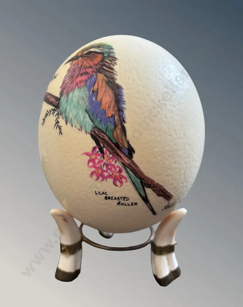 Hand Painted Ostrich Egg featuring a Lilac Breasted Roller, signed Ntuli on Brass Mounted Tusk Base H19cm Image 1++