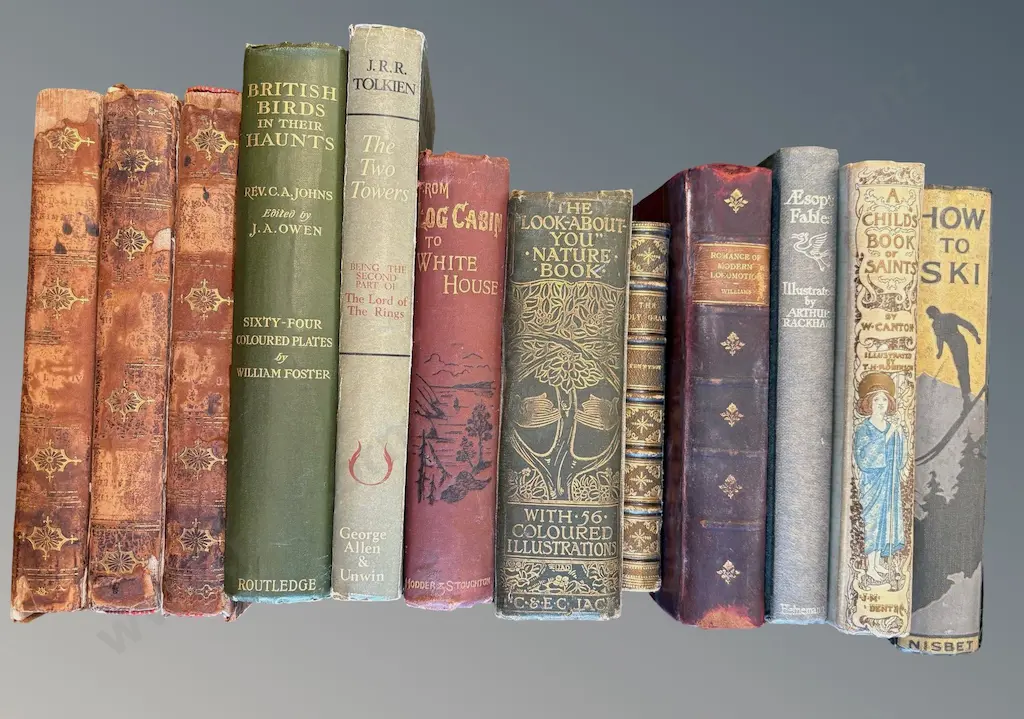 Collection of Books - How to Ski, The Two Towers, Holy Grail, British Birds in their Haunts, Romance of Locomotion, Image 1++