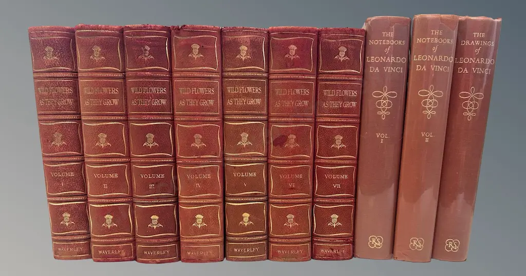 Seven Volume Leather Bound ' Wild Flowers As They Grow' and 3 Volumes Leonardo Da Vinci Image 1++