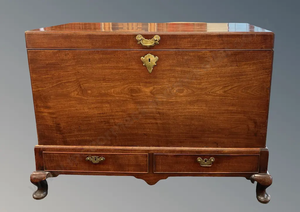 Mahogany Mule Chest on Two Drawer Stand with Brass Drawer Pulls and Escutcheons, L121xH92xD60cm Image 1++
