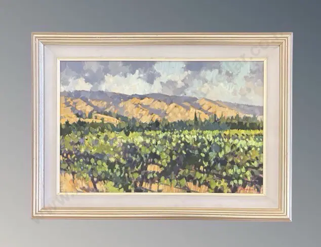 Brian Badcock - Marlborough Vineyards from Godfreys Road, oil on board, 350x540mm Image 1++
