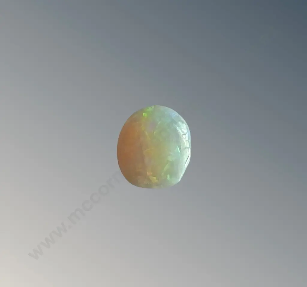 Loose Oval Opal Image 1++