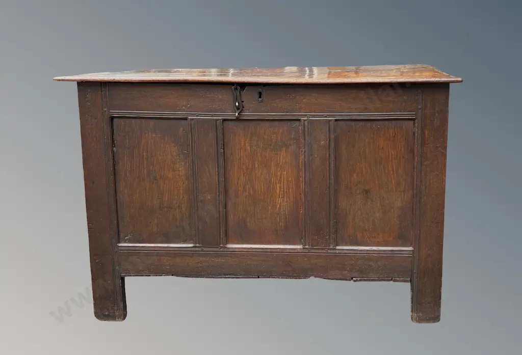 Georgian Oak Three Paneled Mule Chest L118xH78xD59cm Image 1++