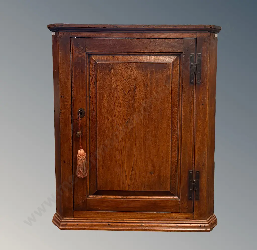 Elm Single Paneled Door Corner Cupboard H78xW65cm Image 1++