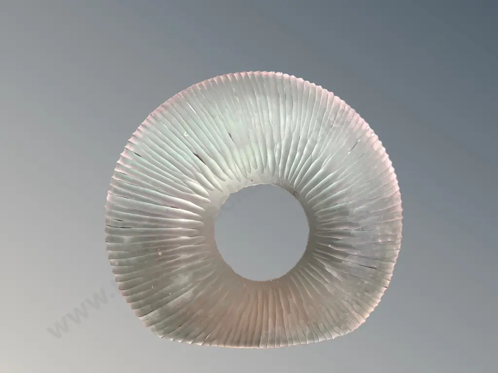 Signed Piece of Art Glass H9xW17cm Image 1++